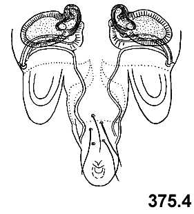 speciesimage