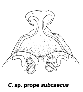 speciesimage