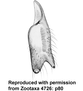 speciesimage