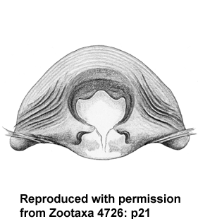 speciesimage