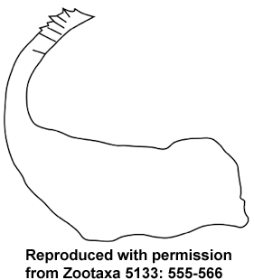 speciesimage