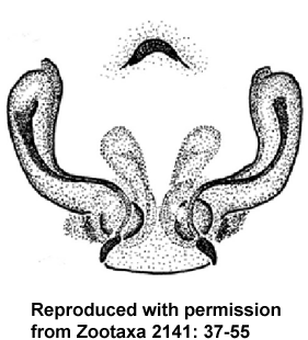 speciesimage