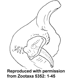 speciesimage