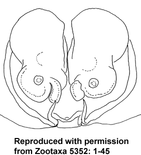 speciesimage