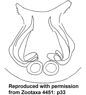 speciesimage