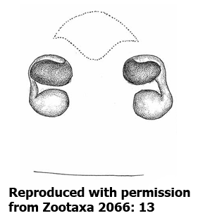 speciesimage