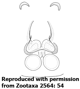 speciesimage