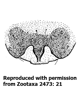 speciesimage