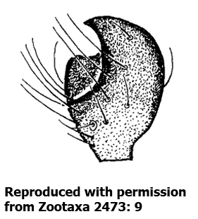 speciesimage