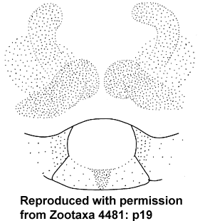 speciesimage