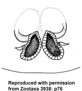 speciesimage