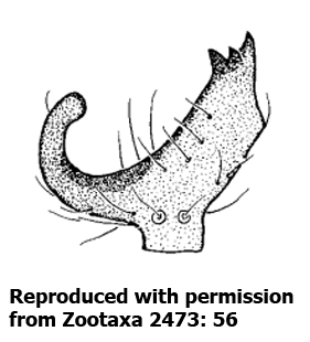 speciesimage