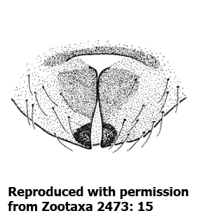 speciesimage