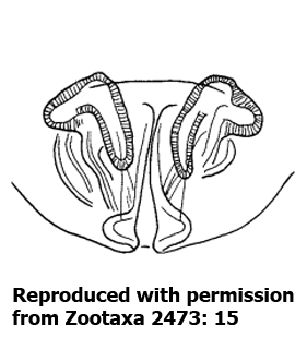 speciesimage