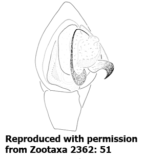 speciesimage