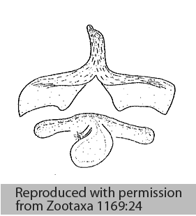 speciesimage