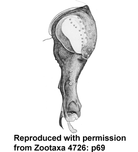 speciesimage