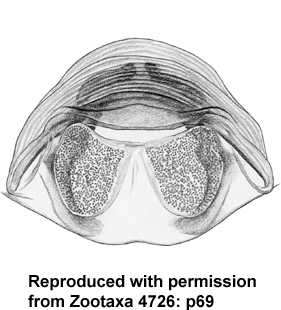 speciesimage