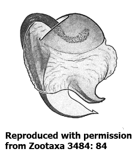 speciesimage