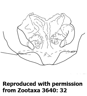 speciesimage