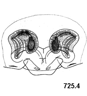 speciesimage