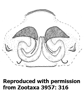 speciesimage