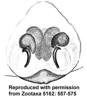 speciesimage