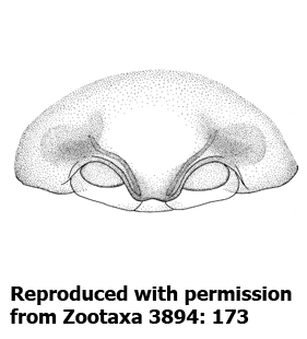 speciesimage