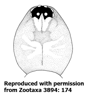 speciesimage