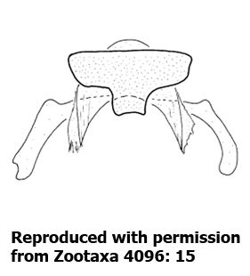 speciesimage