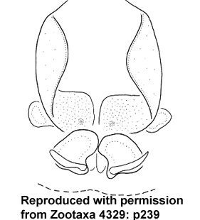 speciesimage