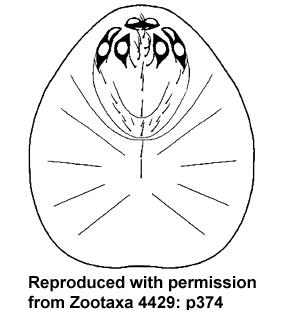 speciesimage