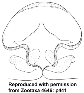 speciesimage