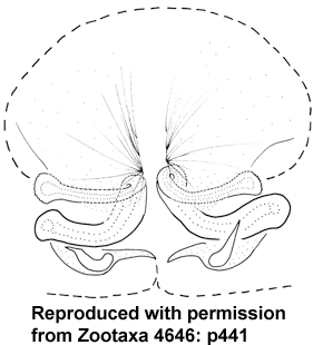 speciesimage