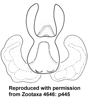 speciesimage