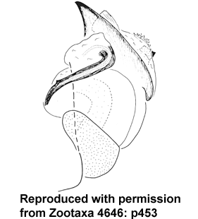 speciesimage