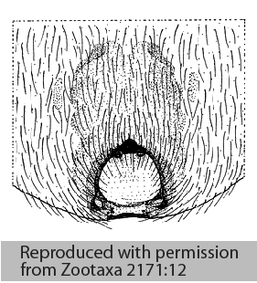 speciesimage