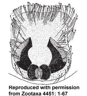 speciesimage