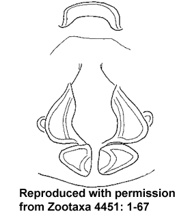 speciesimage