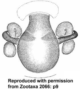 speciesimage