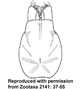 speciesimage