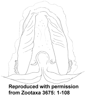 speciesimage