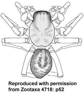 speciesimage