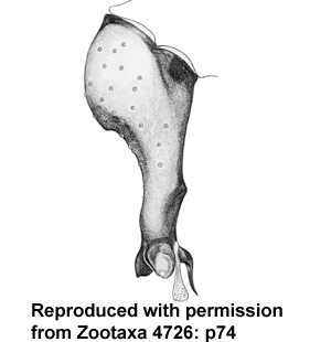 speciesimage