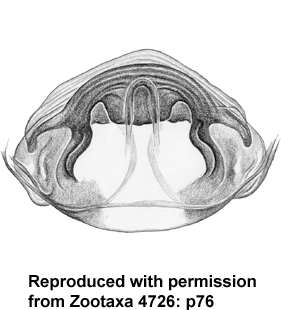 speciesimage