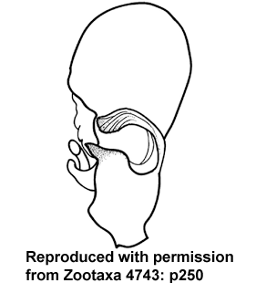 speciesimage