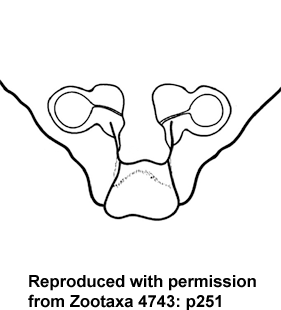 speciesimage