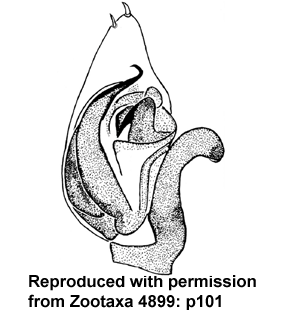 speciesimage