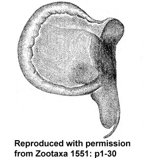 speciesimage