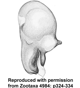 speciesimage